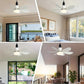 ⏳SUMMER SALE 60% OFF🔥40W LED Ceiling Fan Light – 20.5” Ultra-Quiet with Remote 🎯 | E27 + FREE B22 Adapter 🔌 | For Bedroom 😴, Kitchen 👩‍🍳 & Garage 🛠️ – UK Ready! 🇬🇧